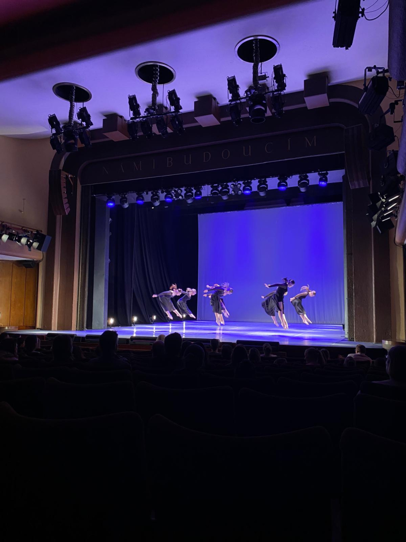 SOUTĚŽN&Iacute; PŘEHL&Iacute;DKA V KOL&Iacute;NĚ